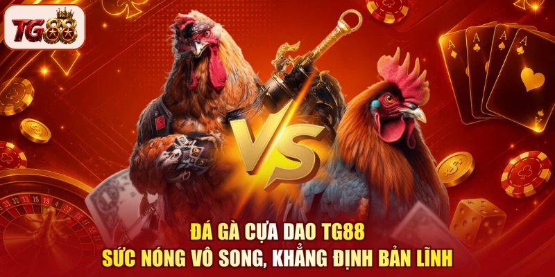 Đá Gà Cựa Dao TG88 - Sức Nóng Vô Song, Khẳng Định Bản Lĩnh