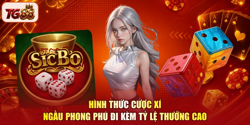 Hình thức cược xí ngầu phong phú đi kèm tỷ lệ thưởng cao
