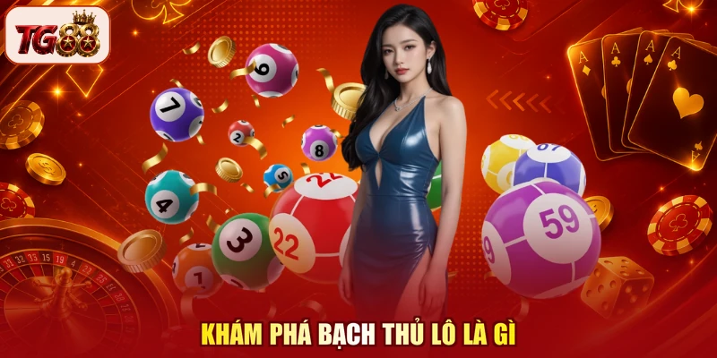 Khám phá bạch thủ lô là gì