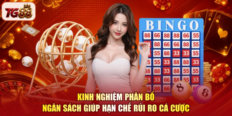 Kinh nghiệm phân bổ ngân sách giúp hạn chế rủi ro cá cược