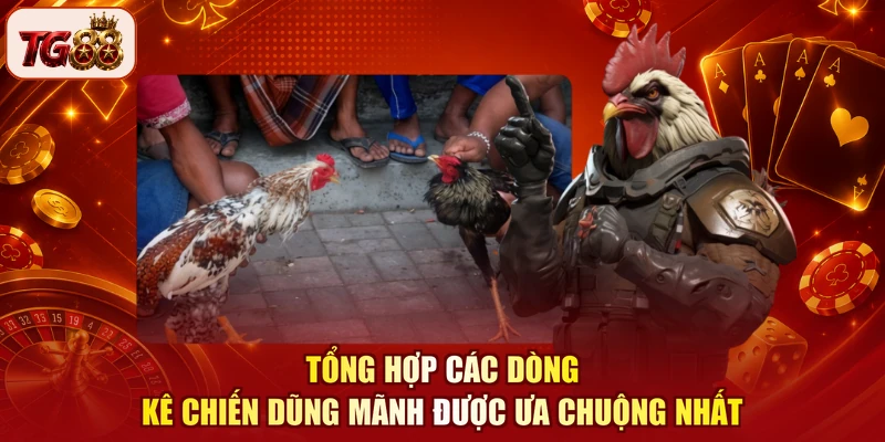Tổng hợp các dòng kê chiến dũng mãnh được ưa chuộng nhất
